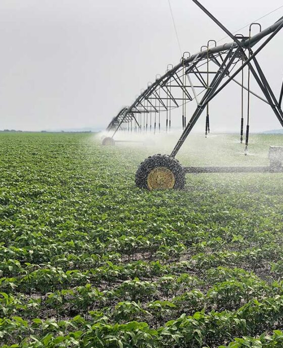 Agri-Innovation