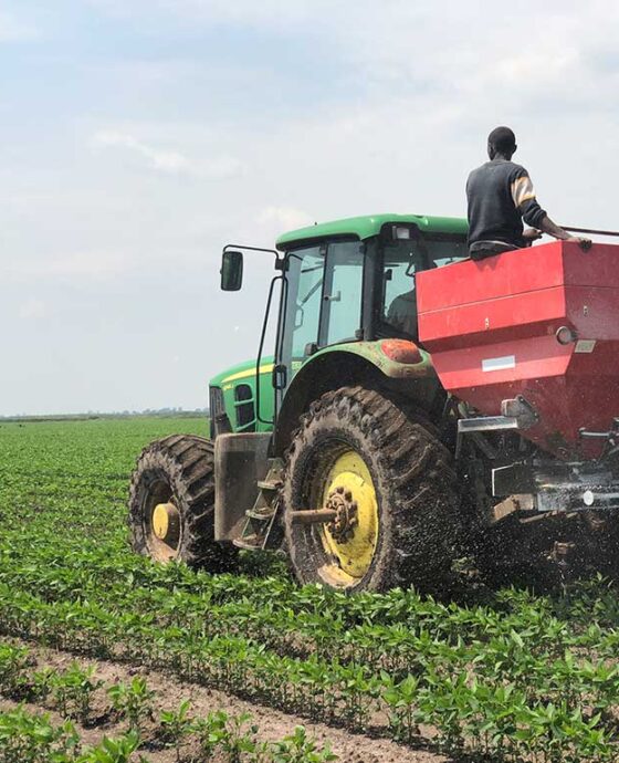 Farm Management