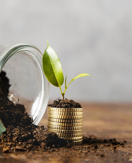 Investment Facilitation