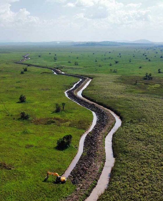 Agricultural Land
